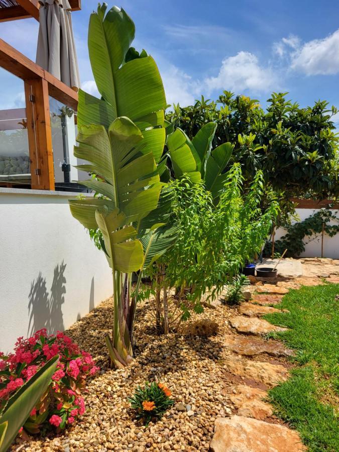 Casa Monte Salema Vila do Bispo Kültér fotó
